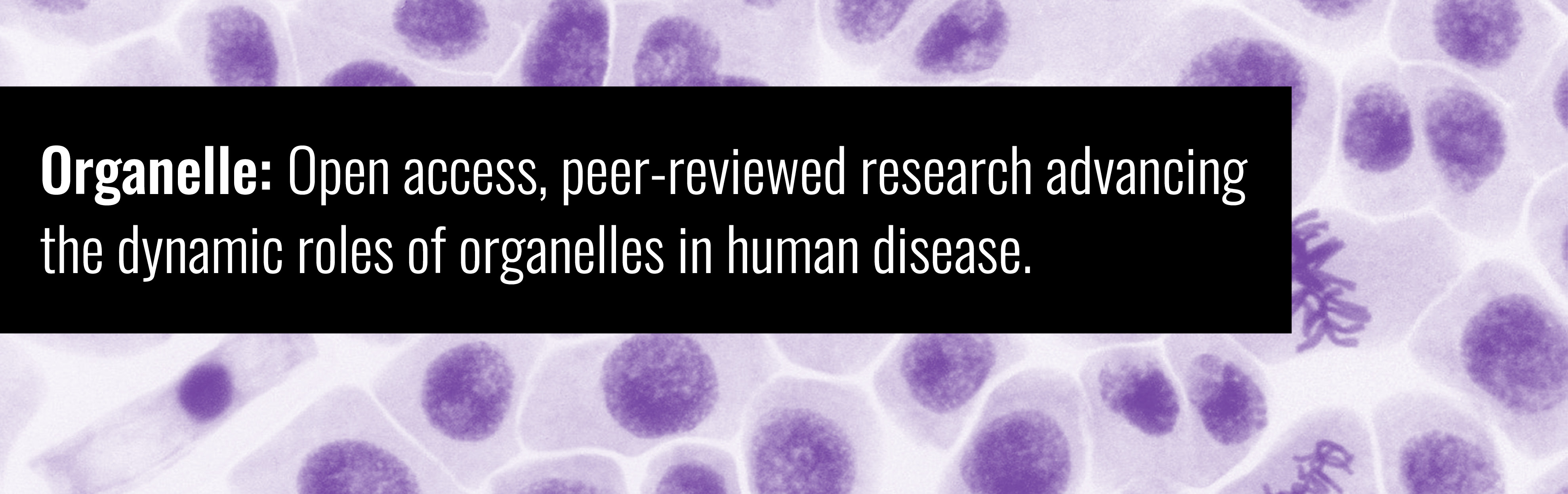 Organelle About Image